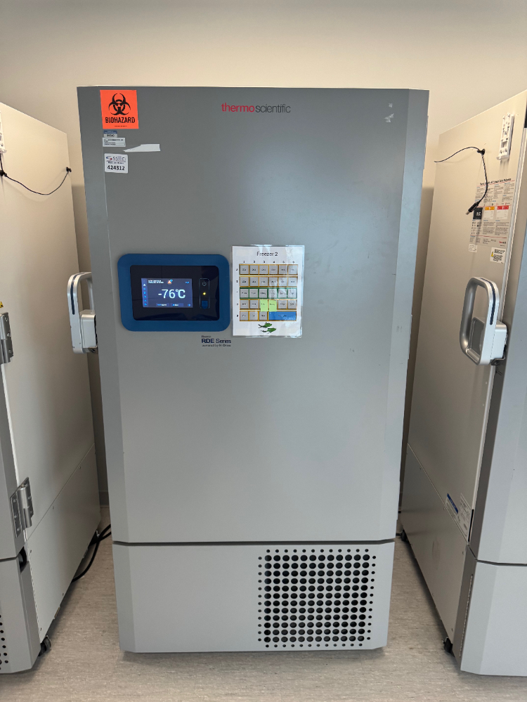 Image of Thermo RDE -80C Ultra Low Temp Freezer